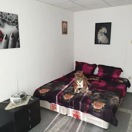 Apartamento Andjelina *